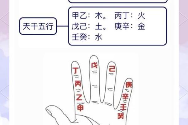 八字入门秘籍：如何理解五行、天干地支的奥秘