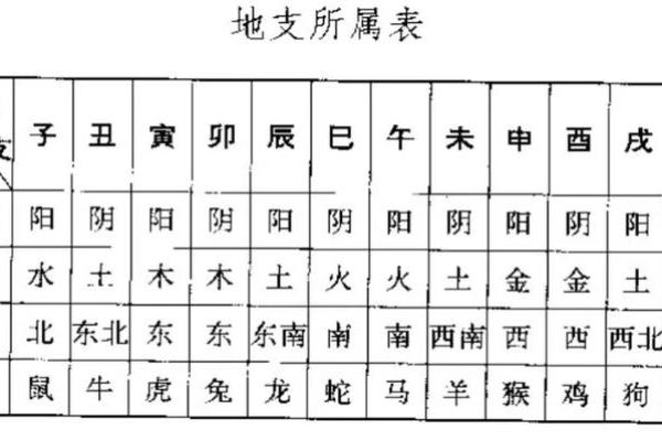 八字入门秘籍：如何理解五行、天干地支的奥秘