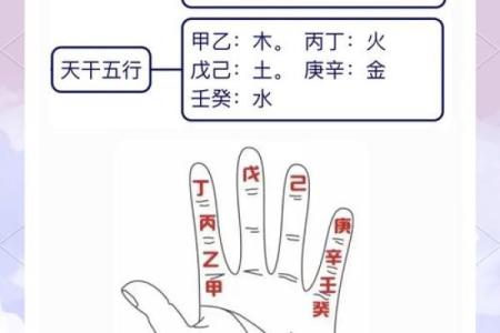 八字入门秘籍：如何理解五行、天干地支的奥秘