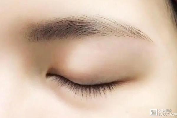 八字眉的历史与文化：为什么它成为流行趋势？