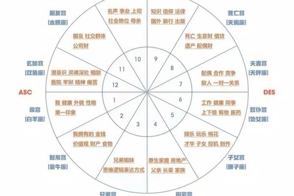 十二星座运势揭秘:独家星座网址带你走进神秘星盘世界 十二星座运势揭秘:独家星座网址带你走进神秘星盘世界