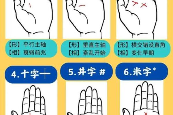 掌中乾坤：揭秘手掌面相图，解锁命运密码