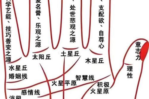 掌中乾坤：揭秘手掌面相图，解锁命运密码