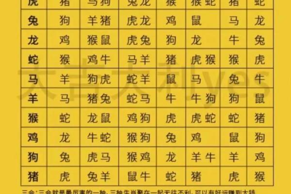 生肖枯萎：揭秘十二生肖中的神秘传说