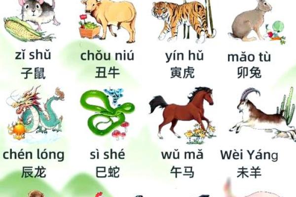 生肖枯萎：揭秘十二生肖中的神秘传说