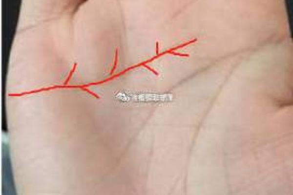 手相揭秘:一指之间,竟藏着两次婚姻的秘密 手相揭秘:一指之间,竟藏着两次婚姻的秘密