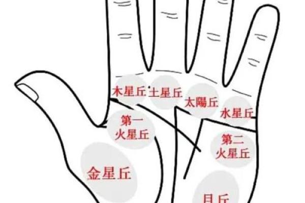 手心胎记揭示命运密码：揭秘手相中的神秘胎记奥秘