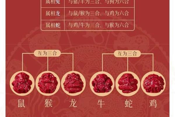 龙女命中注定，揭秘与你最般配的生肖