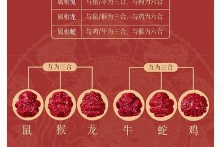 龙女命中注定，揭秘与你最般配的生肖