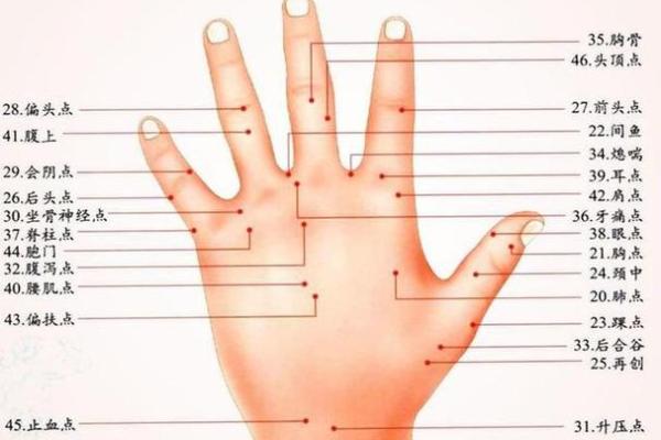 手相桃花运势揭秘：掌握桃花位，邂逅真爱