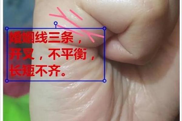 手相桃花运势揭秘：掌握桃花位，邂逅真爱