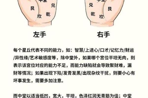左手事业线揭示你的财运人生