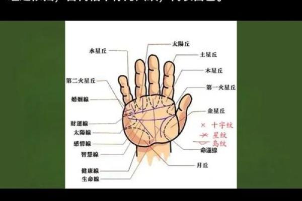 揭秘抖相奥秘：手相大师教你一眼看透命运走势