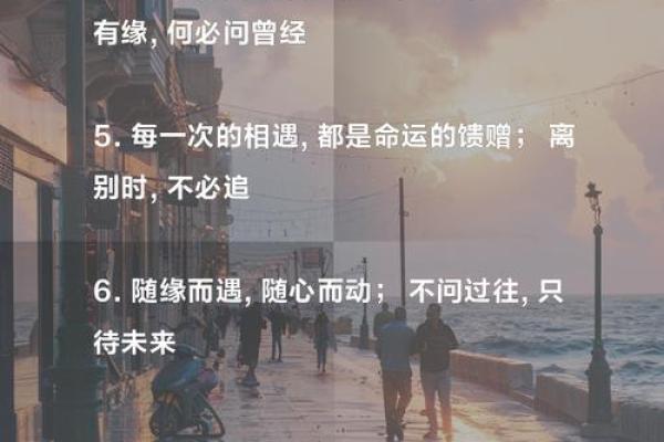 命中注定，未来璀璨