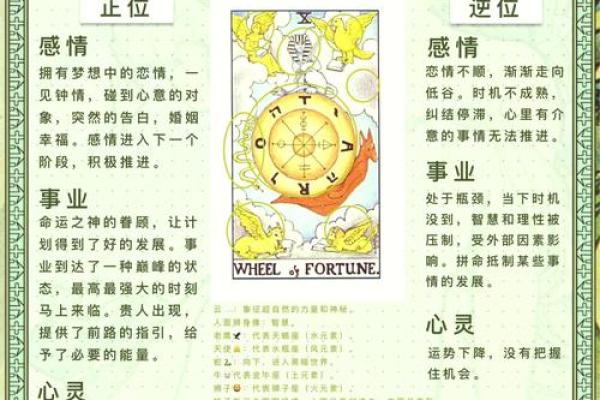 痣相女人掌中宝：掌握命运的秘密武器