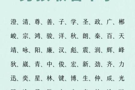专家教你如何给男孩起个响亮又有文化底蕴的名字