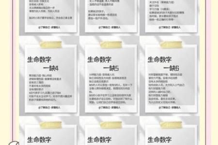 数字命理中的神秘力量，你知道多少？