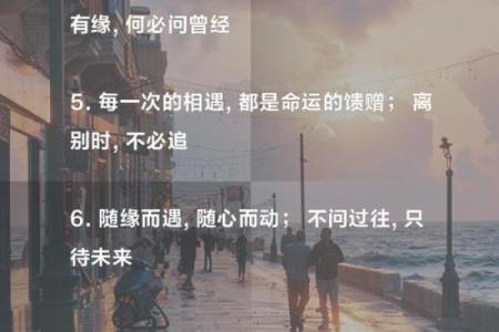 命中注定，未来璀璨