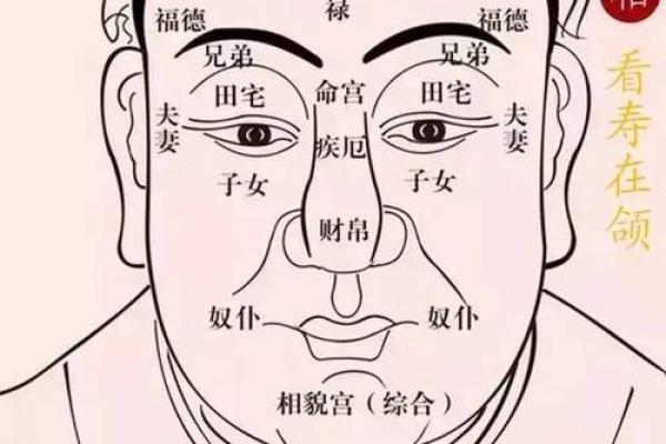 秃头面相揭秘：财富与运势的惊人秘密