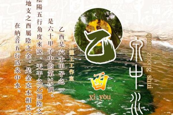 揭秘：乙木命，你的命运密码