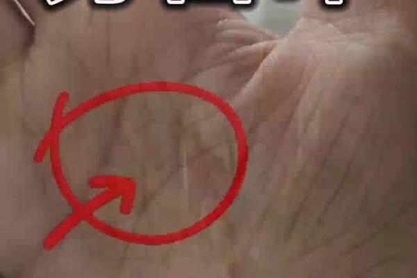 揭秘手相中劳碌命的惊人特征