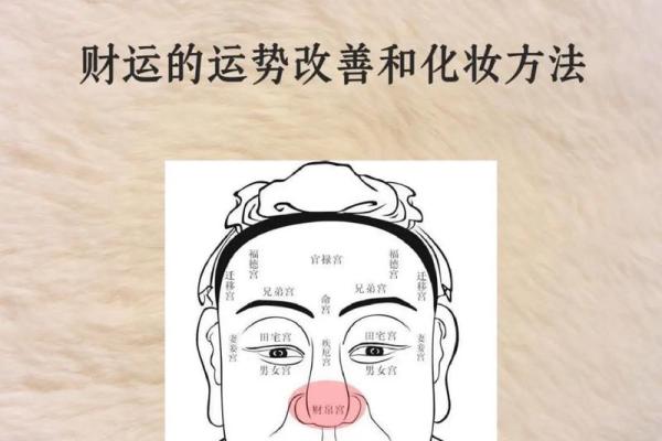 面相揭秘：颚面相解析，揭示你隐藏的财运密码