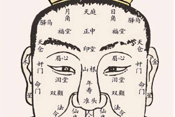 面相揭秘：颚面相解析，揭示你隐藏的财运密码