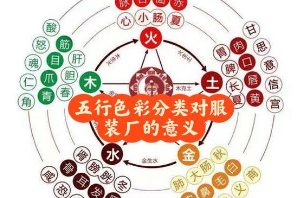 西南五行解读：影响你命运的关键元素