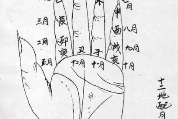 从手中天干看你的运势，精准解析