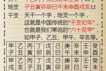 五行八字查询表：一键了解你命中的五大元素