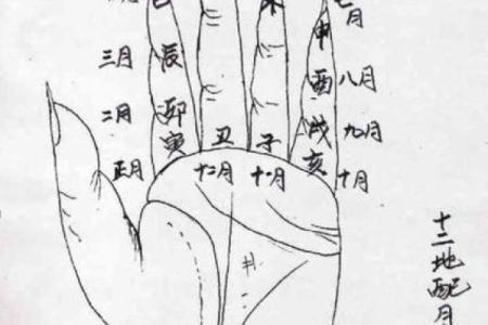 从手中天干看你的运势，精准解析