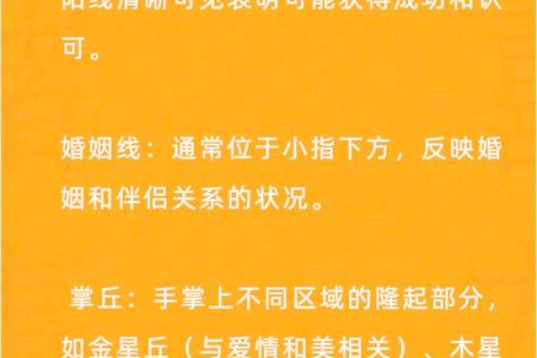 左右手相揭秘：揭秘命运密码，左右手相告诉你人生走向
