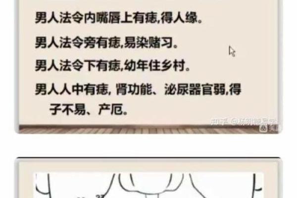 男人面相痣相解读:全面掌握痣相运势宝典 男人面相痣相解读:全面掌握痣相运势宝典