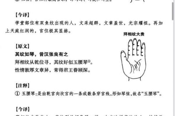 掌中乾坤：揭秘掌丘手相，洞悉你的命运秘密