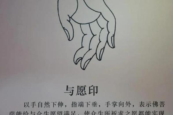 神秘手印揭秘:右手手心痣,命运中的特殊印记 神秘手印揭秘:右手手心痣,命运中的特殊印记