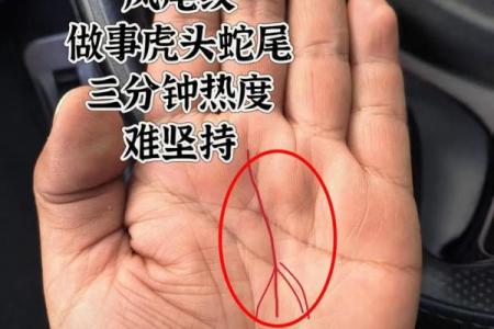 左右手相揭秘：揭秘命运密码，左右手相告诉你人生走向