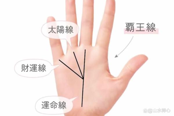 手相揭秘：揭秘那些注定富贵命的男人特征