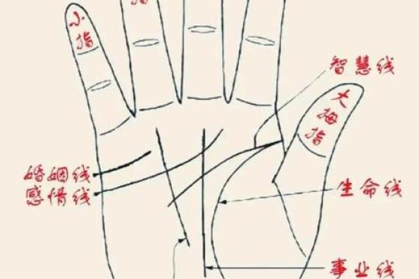 手相揭秘：揭秘那些注定富贵命的男人特征