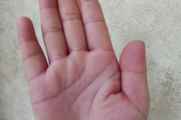 手相识宝：揭秘手相中隐藏的财富金元宝