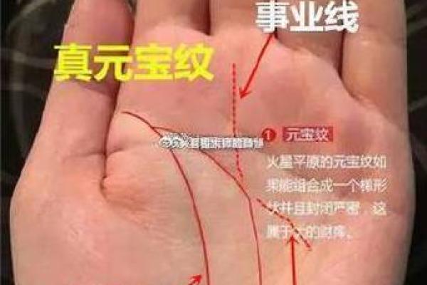 手相识宝：揭秘手相中隐藏的财富金元宝