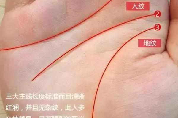 沙坪手相秘术：揭秘手相背后的惊人秘密