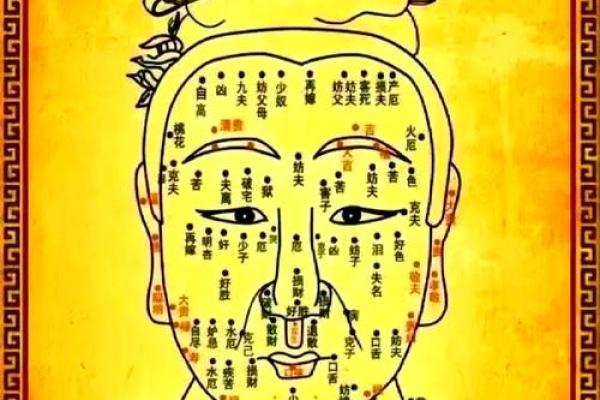 痣相解密：男人全身痣相预示着怎样的命运与人生？