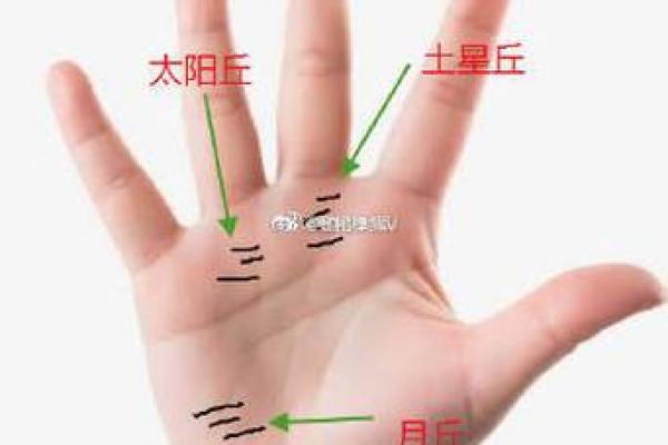 揭秘:手相太阴丘横线密集,预示着你拥有怎样的命运运势? 揭秘:手相太阴丘横线密集,预示着你拥有怎样的命运运势?