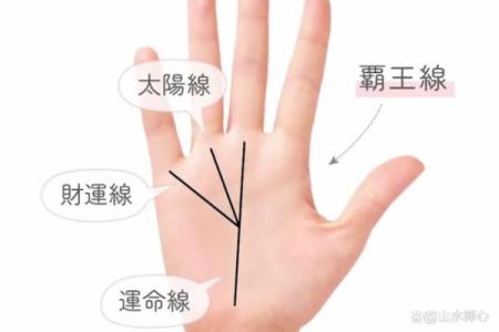 手相揭秘：揭秘那些注定富贵命的男人特征