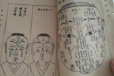 识人于微：读书面相，揭秘你的命运密码