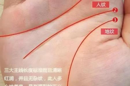 沙坪手相秘术：揭秘手相背后的惊人秘密