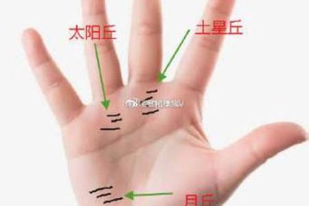 揭秘：手相太阴丘横线密集，预示着你拥有怎样的命运运势？