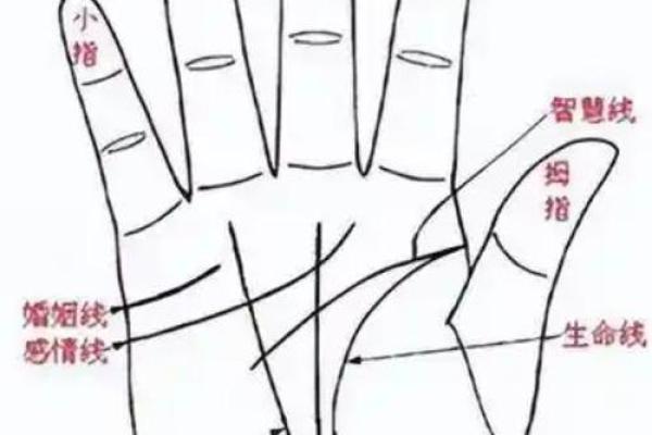 手相一条直线，揭秘命运转折点