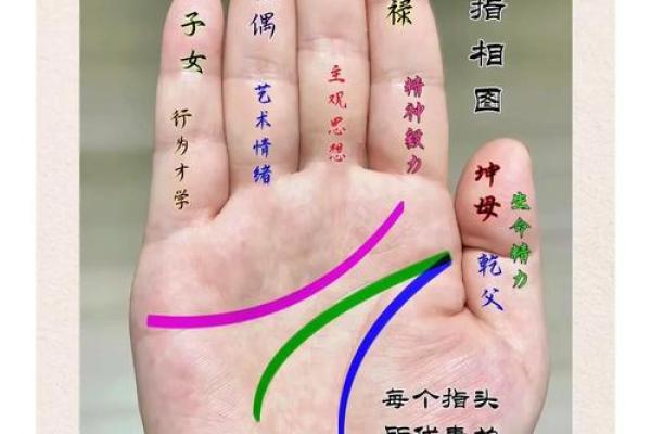 掌上风云：揭秘过得好的女人的手相秘密