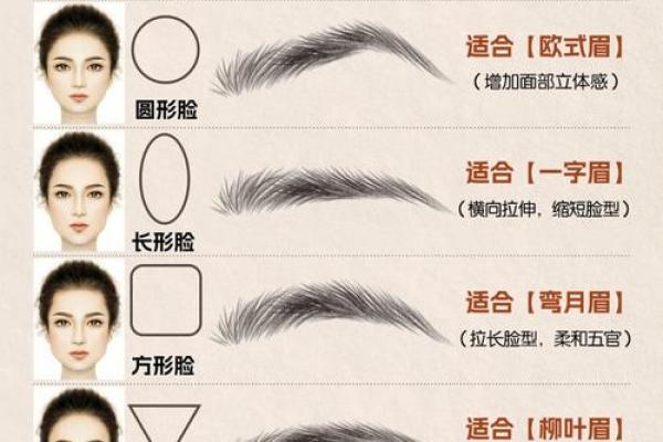 眉形透露命运，揭秘眉毛面相学中的秘密宝藏